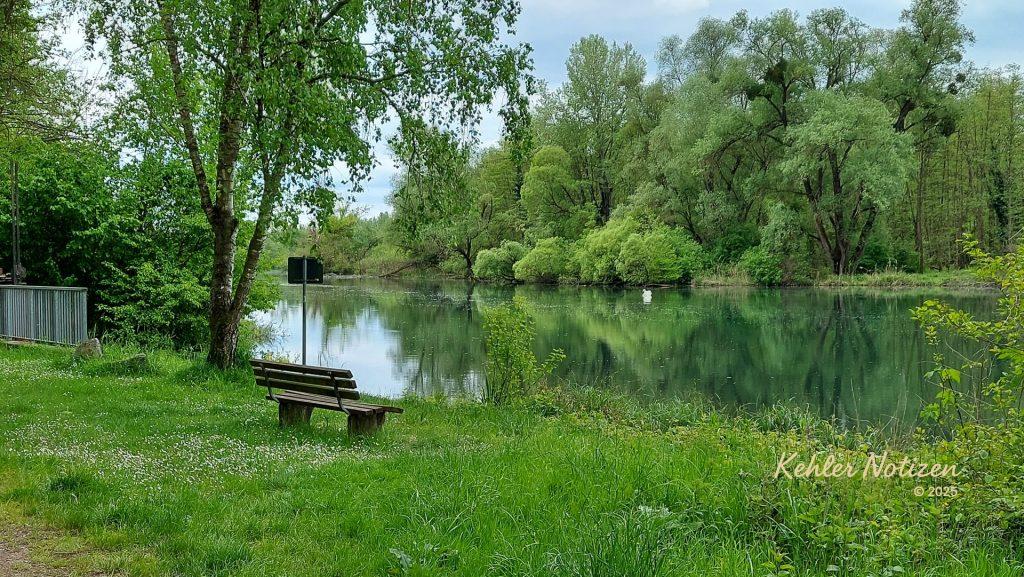 Zwischen Schnaken und Seelenfrieden: Ein Morgen in den Rheinauen
