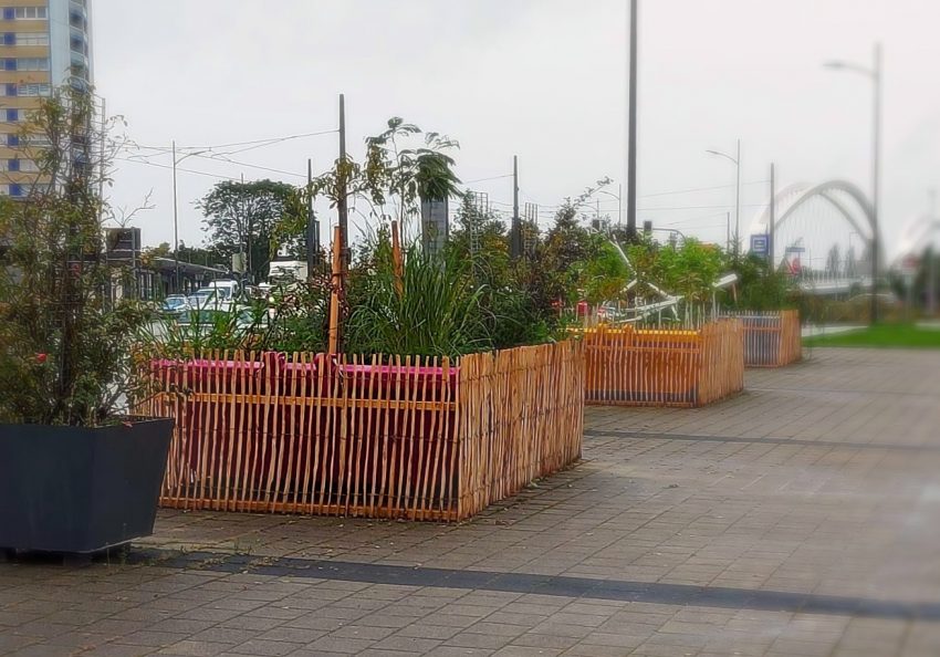 Kehler Pflanzcontainer