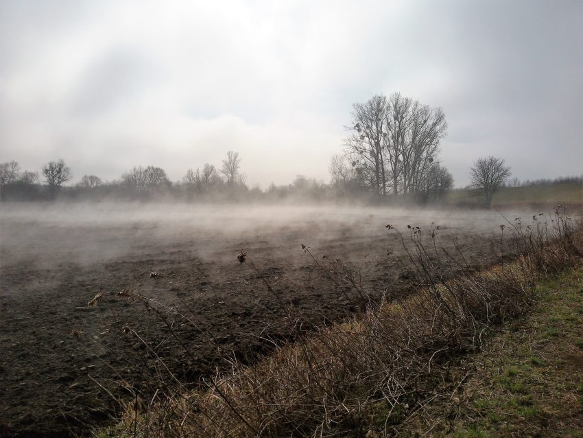 Rheinlandschaft im Herbst