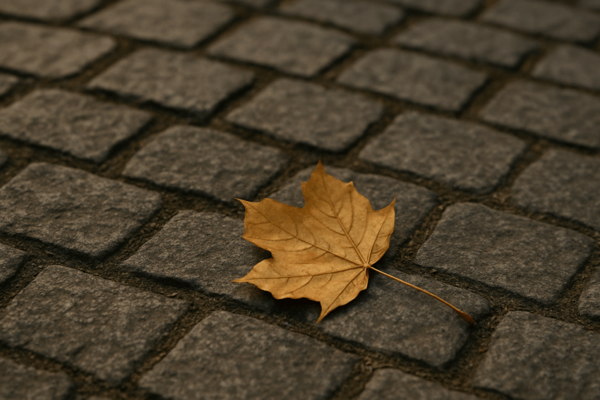Herbstblatt als Sinnbild der Vergänglichkeit