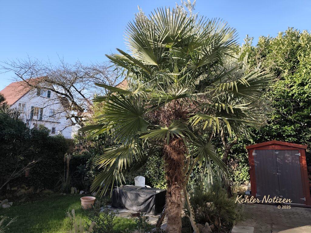 Der Süden steht im Vorgarten