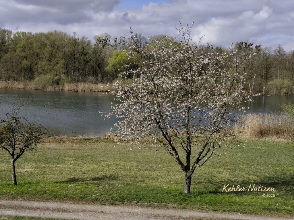 Die Farbe der Frühlingsluft